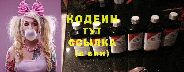 стаф Нея