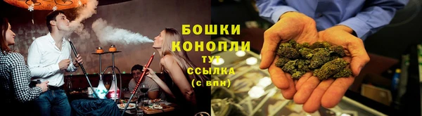 стаф Нея