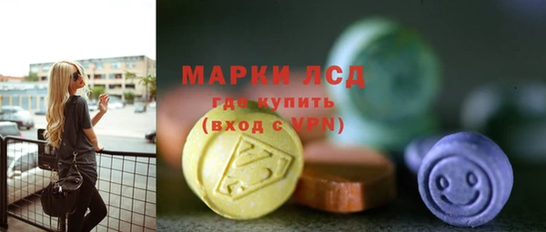 стаф Нея