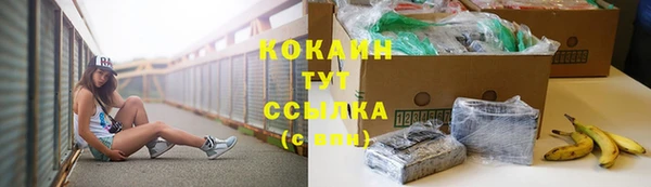 прущие крисы Нефтекумск