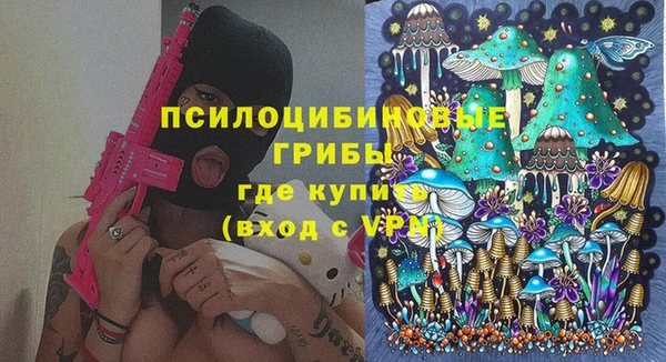 PSILOCYBIN Нефтегорск