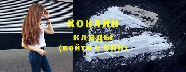 стаф Нея