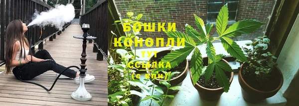 стаф Нея