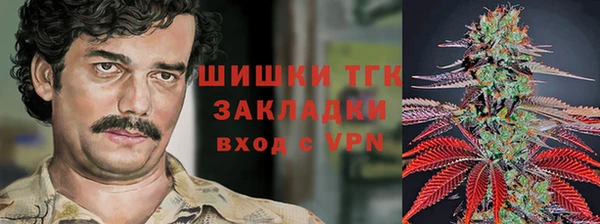 PSILOCYBIN Нефтегорск