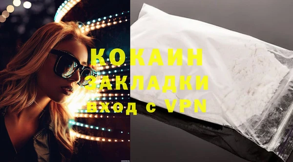 стаф Нея